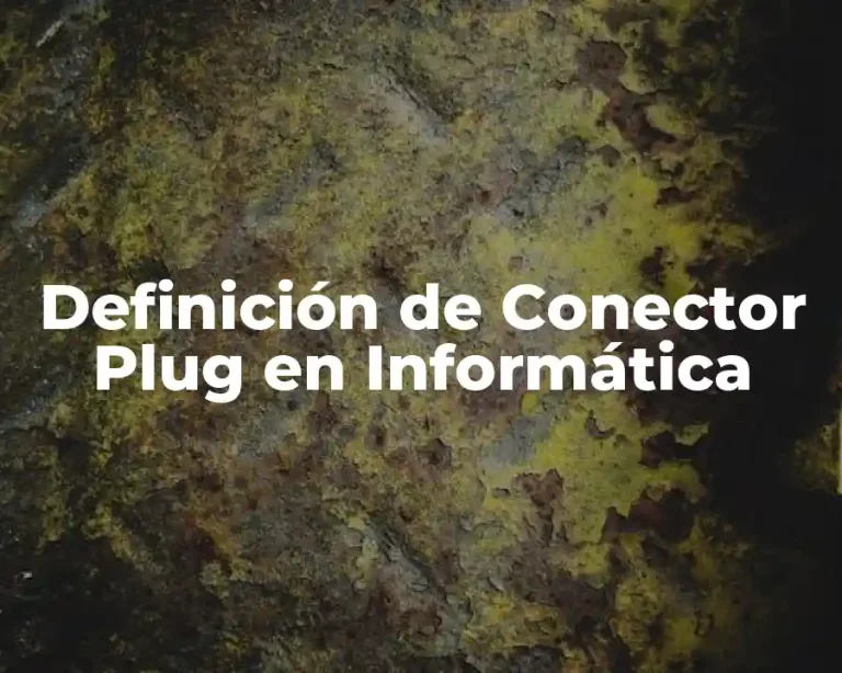 Definición de Conector Plug en Informática