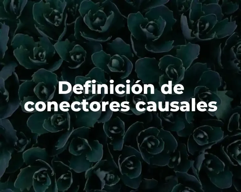 Definición de conectores causales
