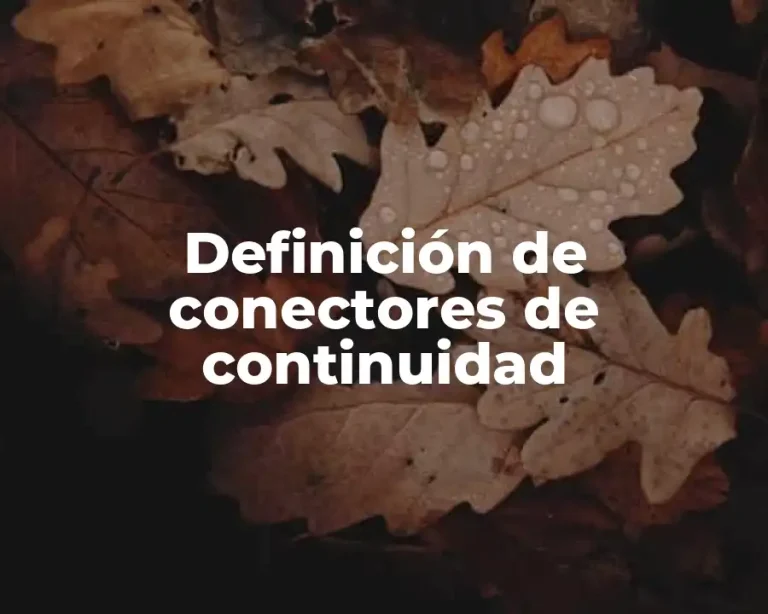 Definición de conectores de continuidad