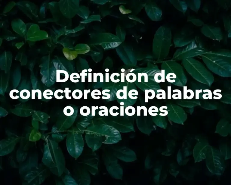 Definición de conectores de palabras o oraciones