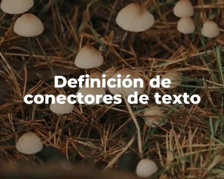 Definición de conectores de texto