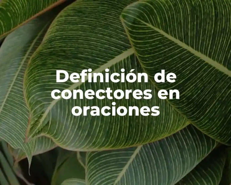 Definición de conectores en oraciones