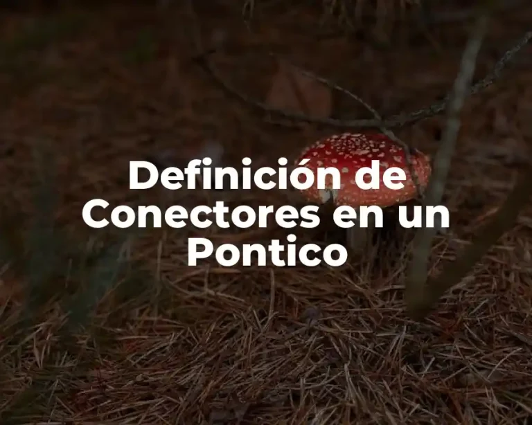 Definición de Conectores en un Pontico