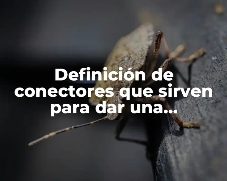 Definición de conectores que sirven para dar una conjunción