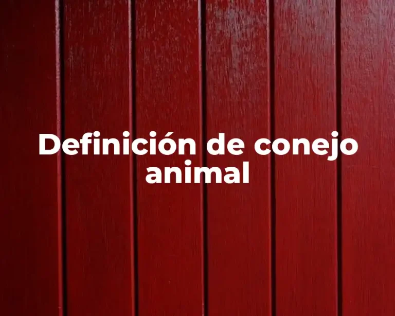 Definición de conejo animal