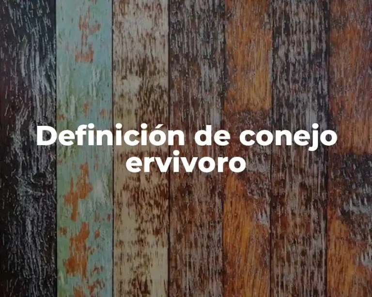 Definición de conejo ervivoro