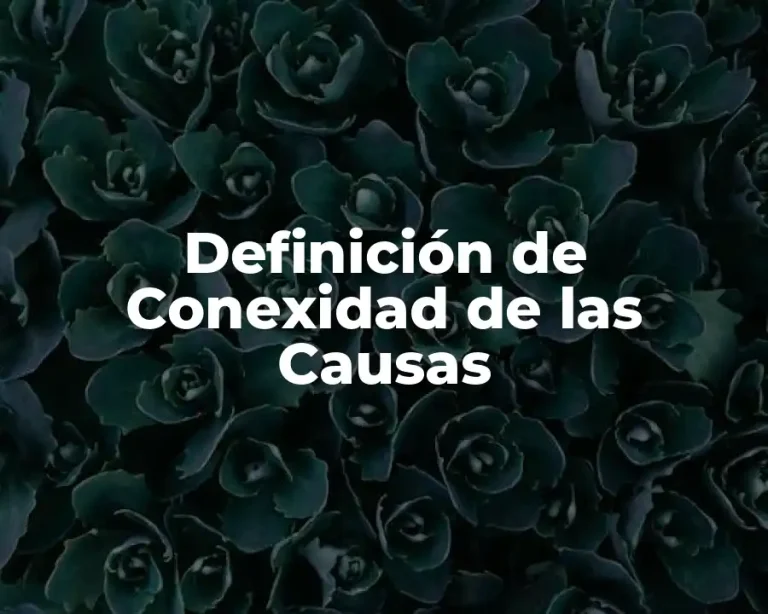 Definición de Conexidad de las Causas