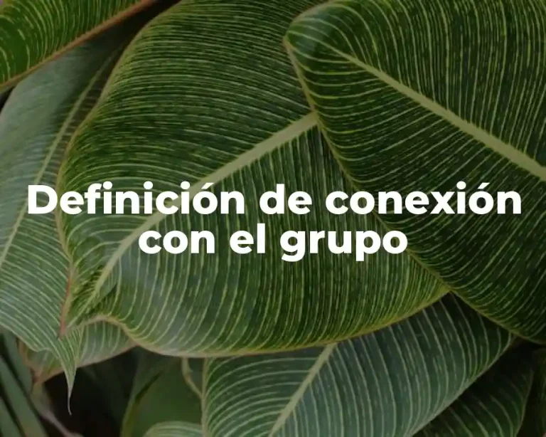 Definición de conexión con el grupo