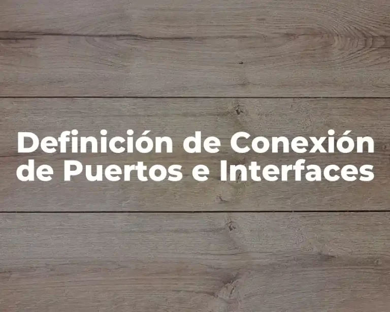 Definición de Conexión de Puertos e Interfaces