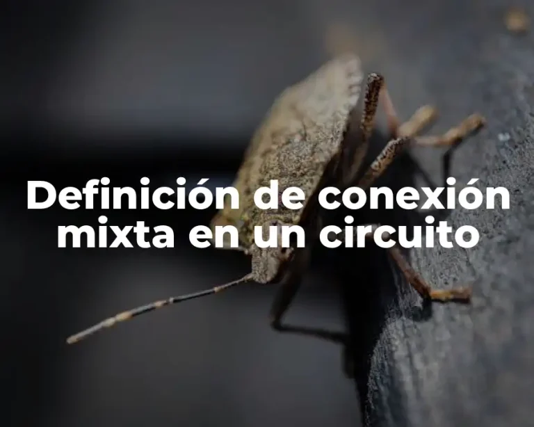Definición de conexión mixta en un circuito