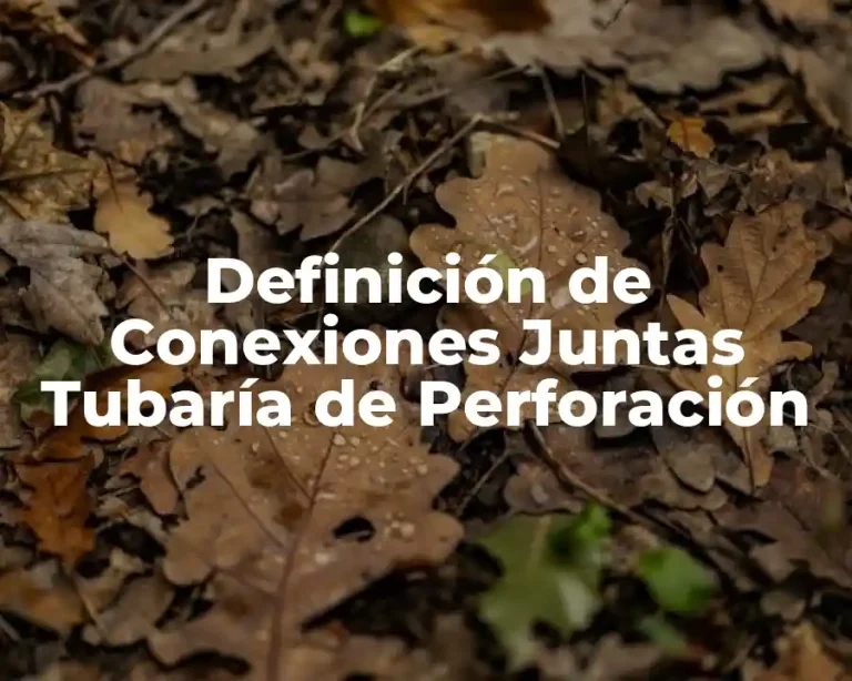 Definición de Conexiones Juntas Tubaría de Perforación