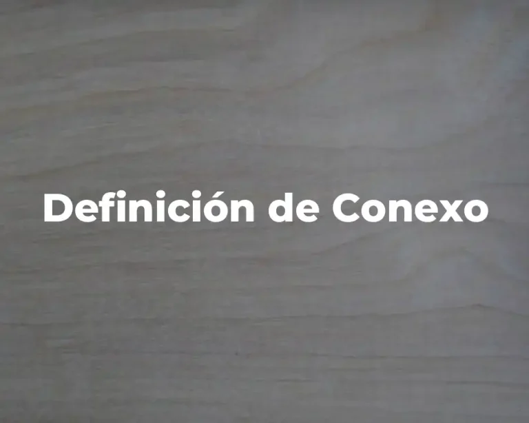 Definición de Conexo
