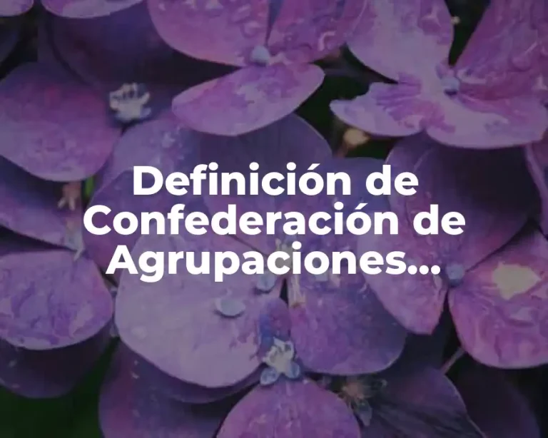 Definición de Confederación de Agrupaciones Sindicales