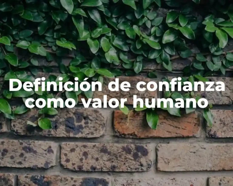 Definición de confianza como valor humano