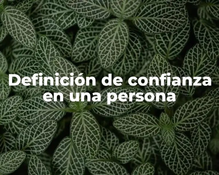 Definición de confianza en una persona