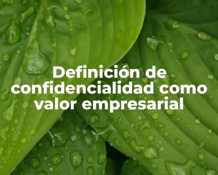 Definición de confidencialidad como valor empresarial