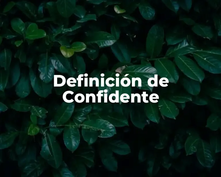 Definición de Confidente