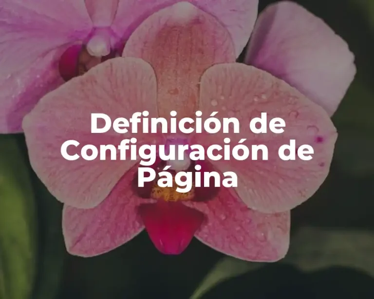 Definición de Configuración de Página