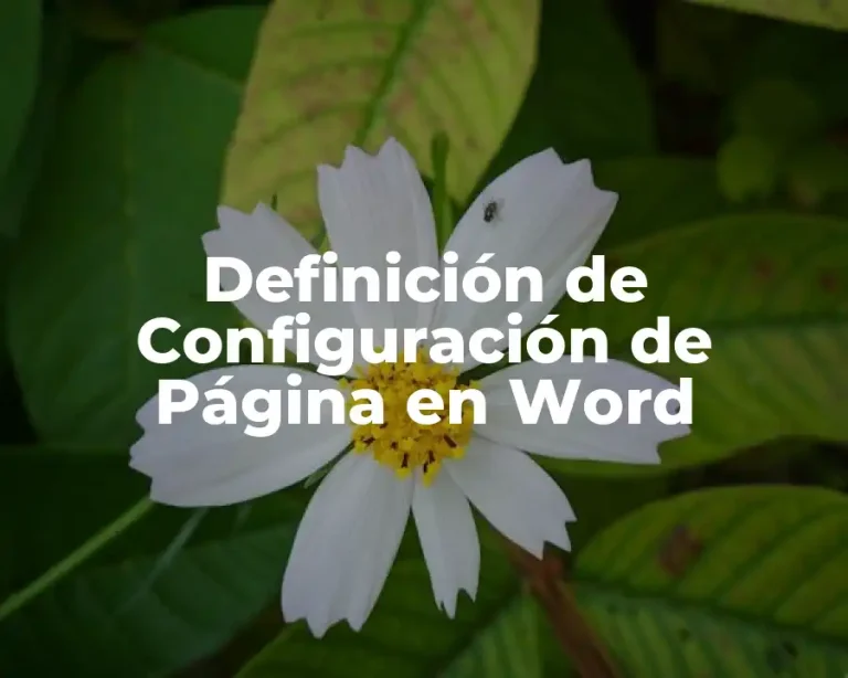 Definición de Configuración de Página en Word