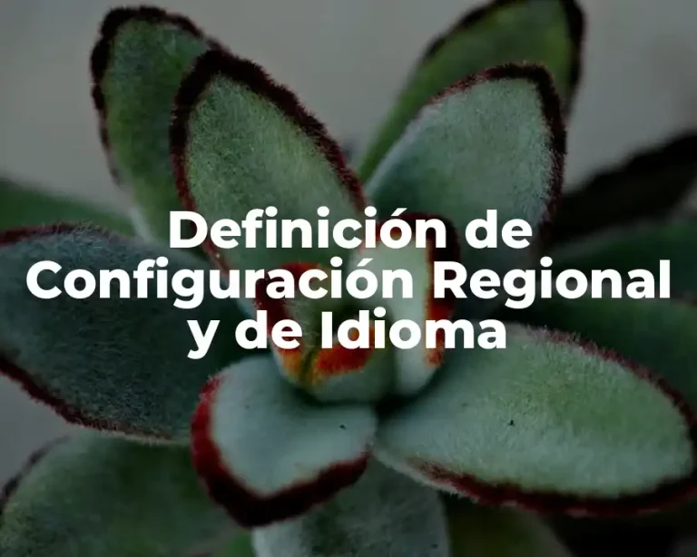 Definición de Configuración Regional y de Idioma