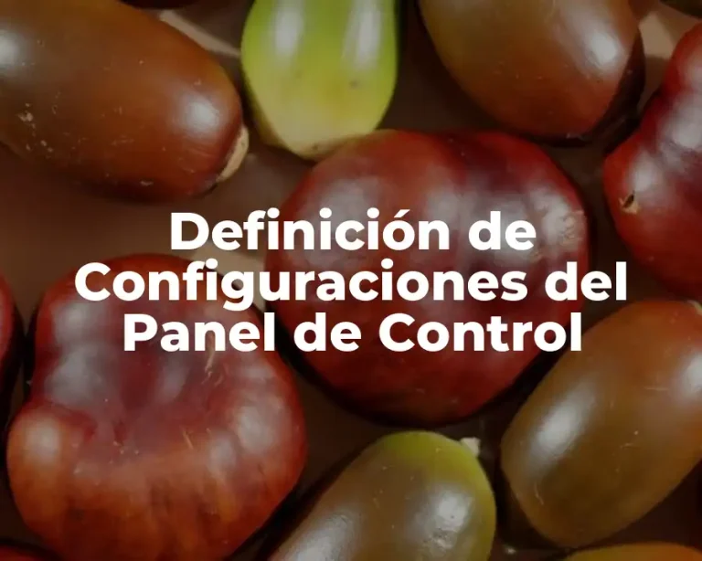 Definición de Configuraciones del Panel de Control