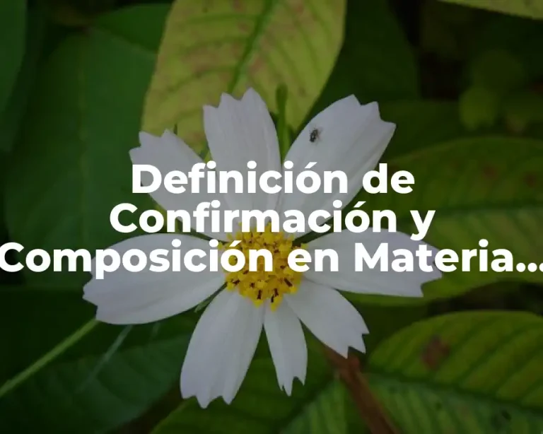Definición de Confirmación y Composición en Materia Agraria