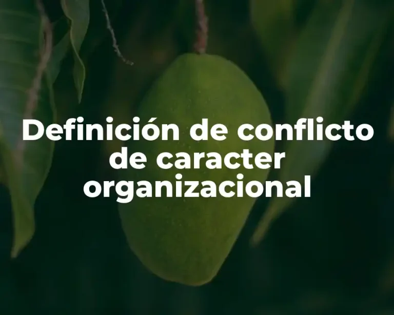 Definición de conflicto de caracter organizacional