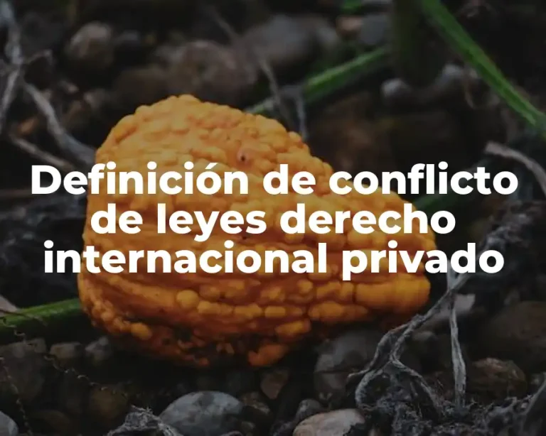 Definición de conflicto de leyes derecho internacional privado
