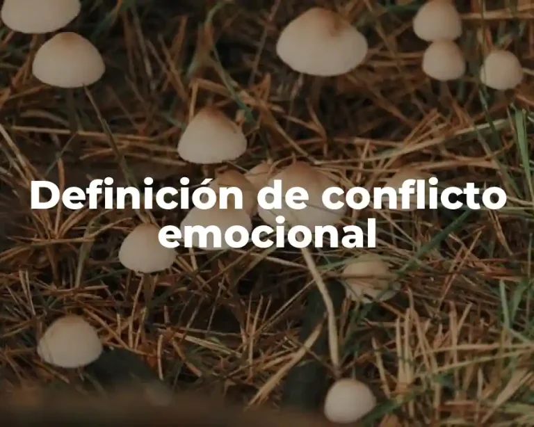 Definición de conflicto emocional