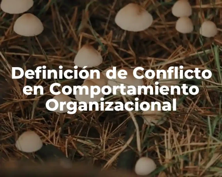 Definición de Conflicto en Comportamiento Organizacional