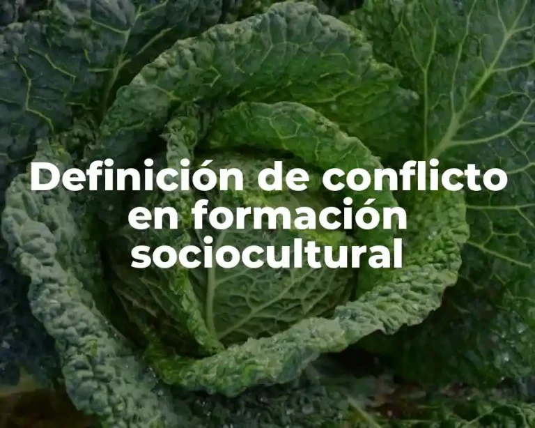 Definición de conflicto en formación sociocultural