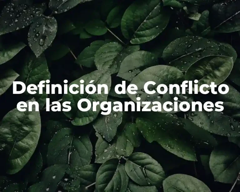 Definición de Conflicto en las Organizaciones