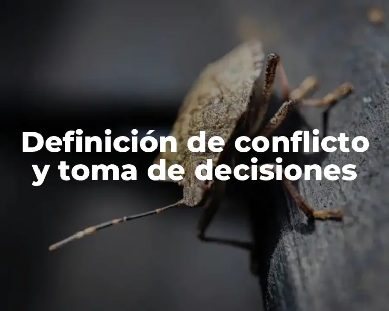 Definición de conflicto y toma de decisiones