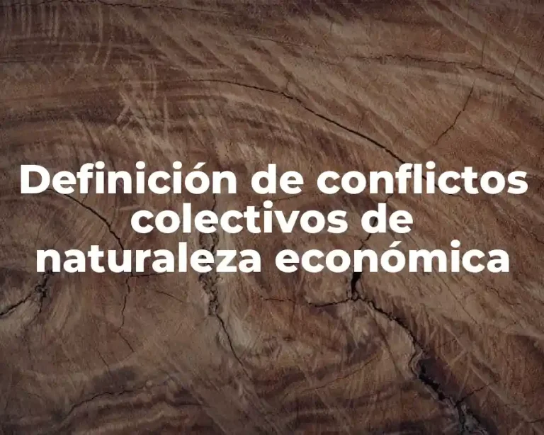 Definición de conflictos colectivos de naturaleza económica