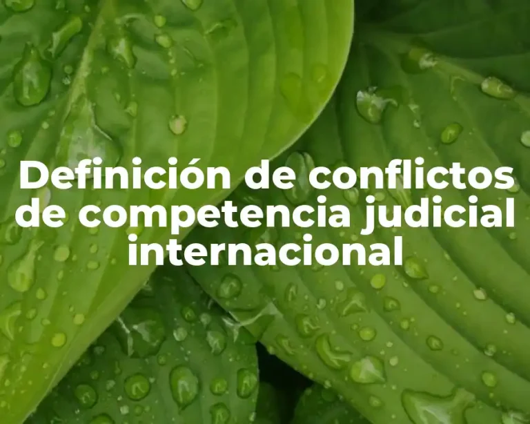Definición de conflictos de competencia judicial internacional