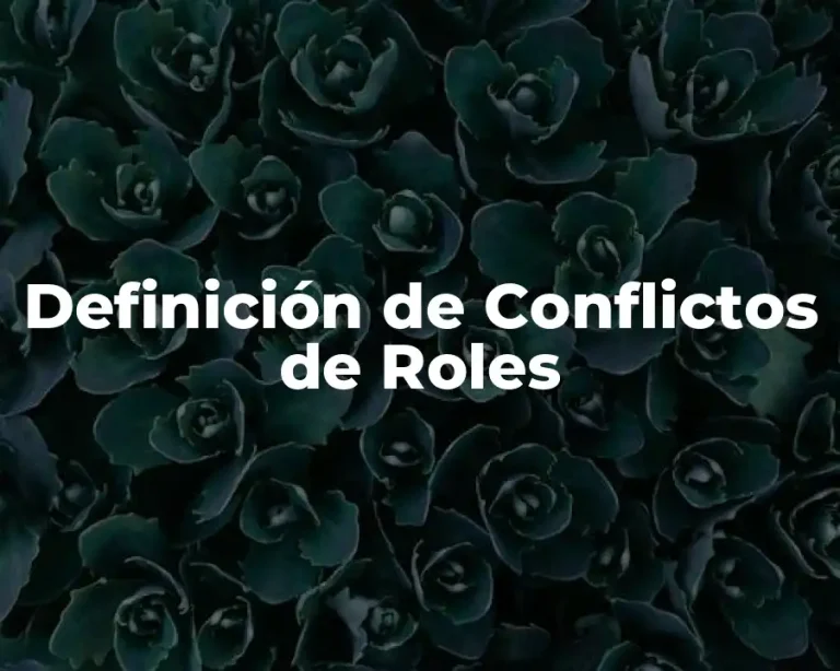Definición de Conflictos de Roles