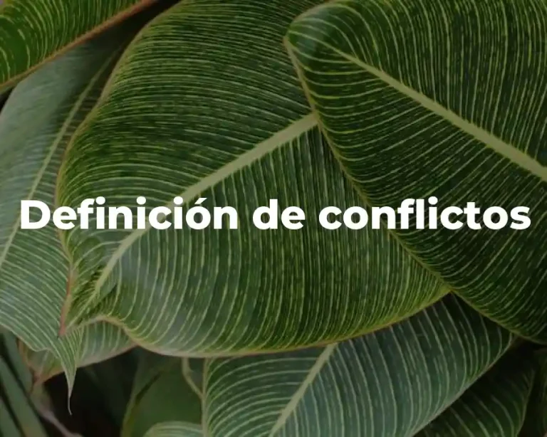 Definición de conflictos