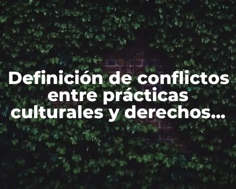 Definición de conflictos entre prácticas culturales y derechos humanos