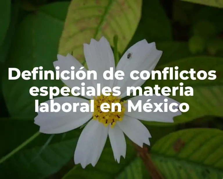 Definición de conflictos especiales materia laboral en México