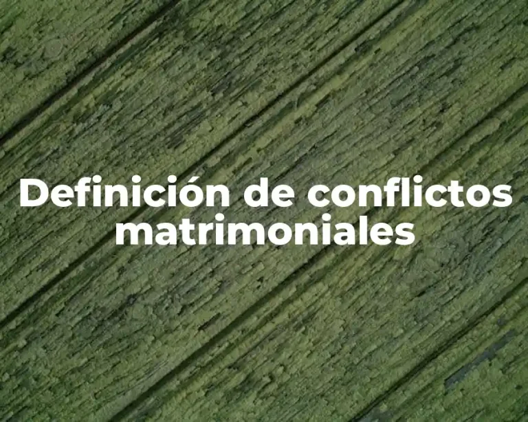 Definición de conflictos matrimoniales