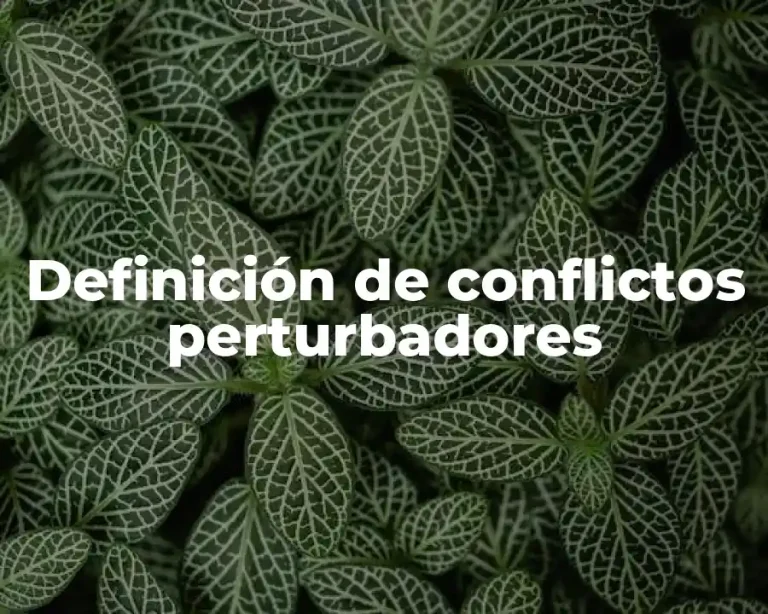 Definición de conflictos perturbadores