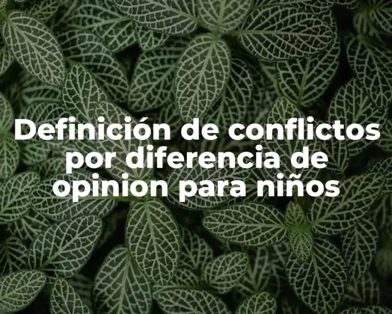 Definición de conflictos por diferencia de opinion para niños
