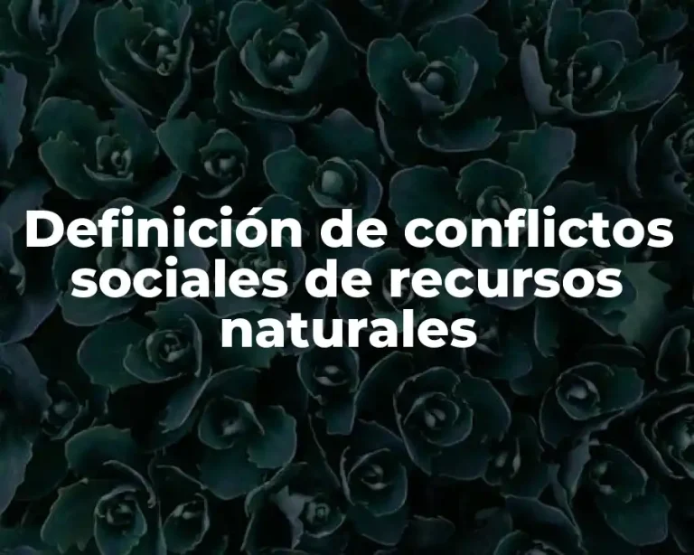 Definición de conflictos sociales de recursos naturales