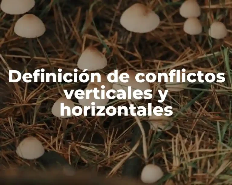 Definición de conflictos verticales y horizontales