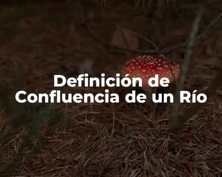 Definición de Confluencia de un Río
