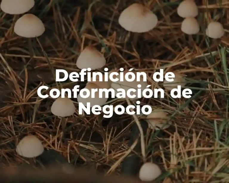 Definición de Conformación de Negocio