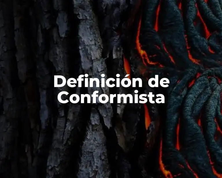 Definición de Conformista