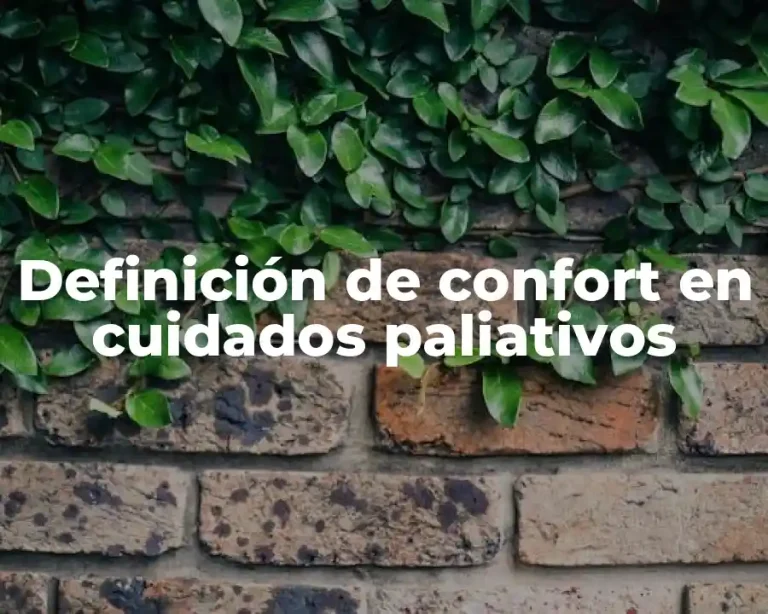 Definición de confort en cuidados paliativos