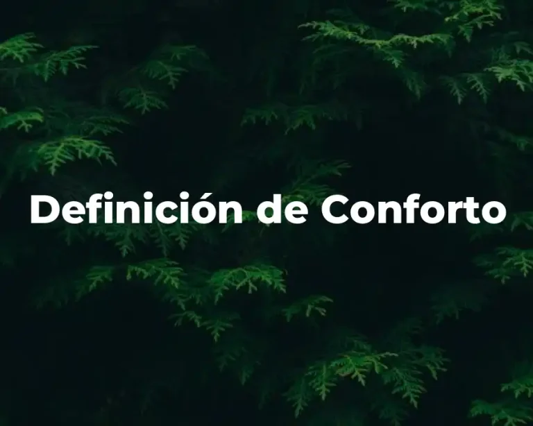 Definición de Conforto