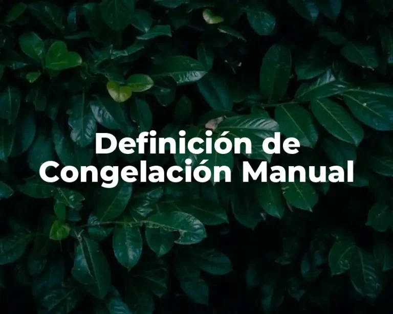 Definición de Congelación Manual